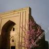 free image host