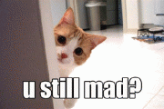 02f34f3662535.gif