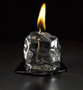 38329c3662969.gif