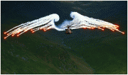 6bd7293662958.gif