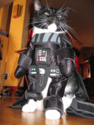 7bcf493662558.gif