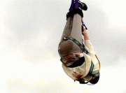 93d4543662957.gif