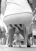 e811733662965.gif