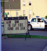32efa83697208.gif