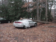 6423bb3697229.gif