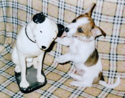 02f3f33733894.gif