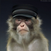 de7e7f3733924.gif