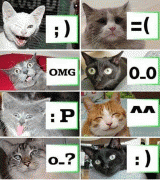fb7c653768643.gif