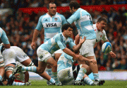 364cc138158116.gif
