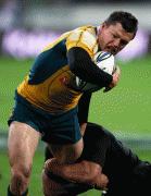 637c1f49347311.gif