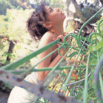 imagebam.com