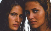 45a7147278577.gif