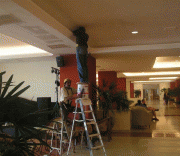 e6f7c87284722.gif