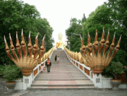 06ca1d7433602.gif