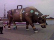 6c1e097433643.gif
