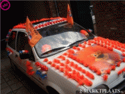 d259bf7902933.gif