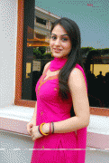 Telugu Actress Aksha in Cheerful Mood