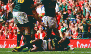 025d1983405601.gif