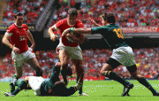b9971383405652.gif